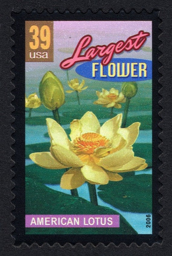 Vintage 2006 American Lotus 39c Stamp // Wonders of America  display picture 1