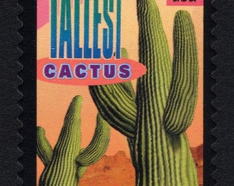 Five (5) unused postage stamps - Wonders of America: tallest cactus, saguaro// 39 cent stamps // Face value 1.95