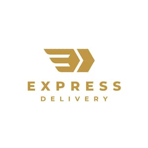 May include: A gold logo with the text "EXPRESS DELIVERY". The logo shows a stylized arrow with wing-like features, implying speed and efficiency. The design is modern and clean, set against a white background.