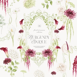 May include: A digital collection of hand-drawn floral elements featuring burgundy chrysanthemums, white calla lilies, and green foliage arranged around a central ornate frame with the text 35 floral art nouveau collection BURGUNDY EPOQUE.
