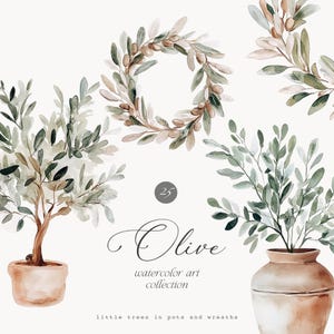 Clipart de azeitona aquarela - Oliveiras rústicas - Clipart mediterrâneo - Aquarela de azeitona - Italiano - Coleção rústica