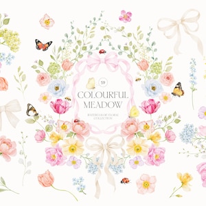 Peut inclure: Collection florale à l'aquarelle avec des fleurs roses, jaunes et bleues, des papillons, des coccinelles et des nœuds. Le texte "COLOURFUL MEADOW" est affiché au centre.
