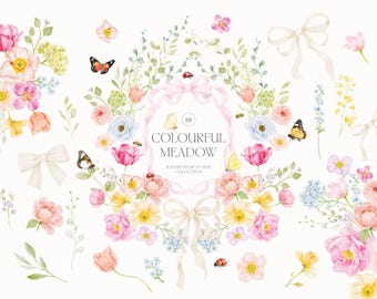 May include: Watercolor floral collection featuring a variety of flowers in shades of pink, yellow, and blue, with butterflies, ladybugs, and bows. The text "COLOURFUL MEADOW" is displayed in the center.