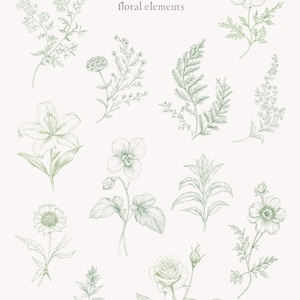 May include: A set of 12 hand-drawn botanical illustrations featuring various flowers, leaves, and stems. The illustrations are in shades of green and white and are perfect for adding a touch of nature to any project.