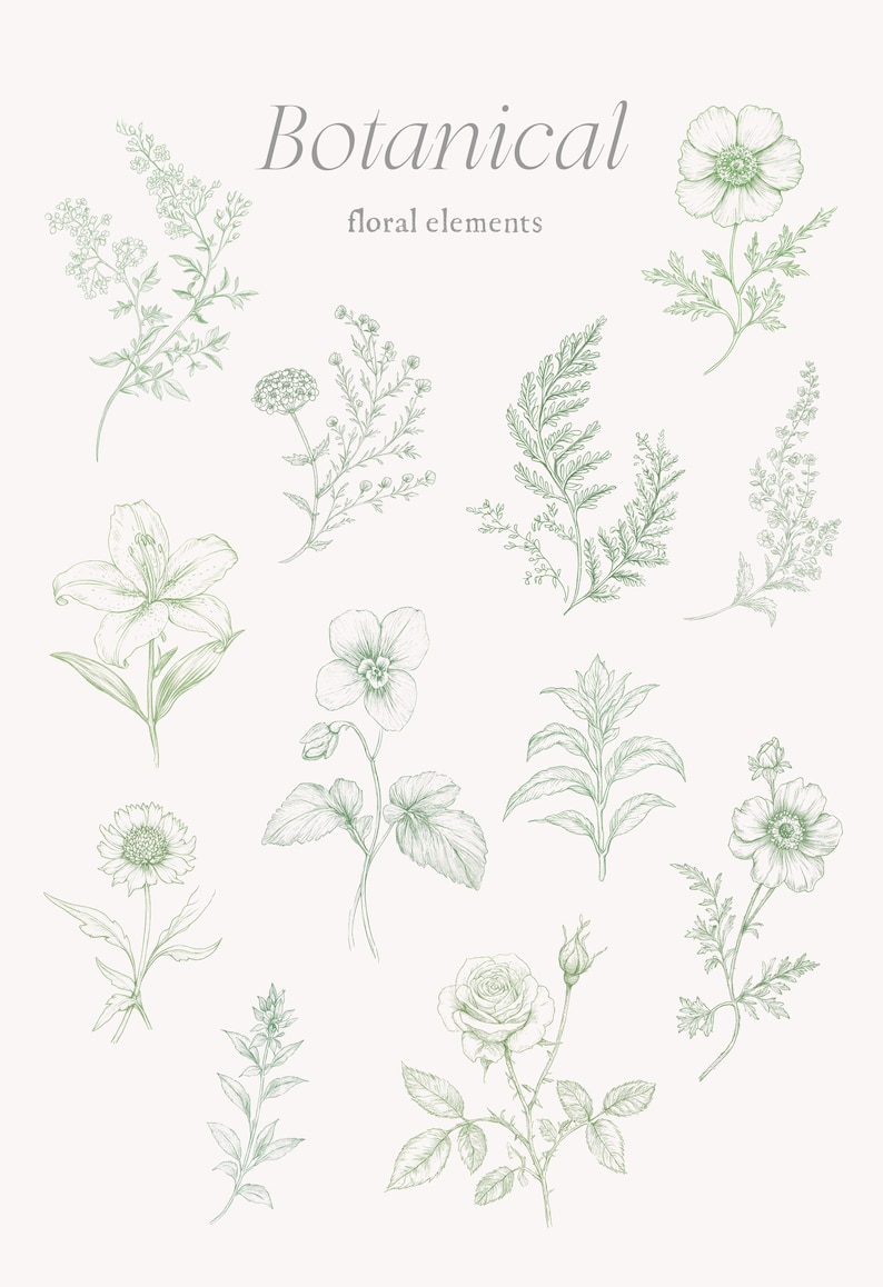 May include: A set of 12 hand-drawn botanical illustrations featuring various flowers, leaves, and stems. The illustrations are in shades of green and white and are perfect for adding a touch of nature to any project.