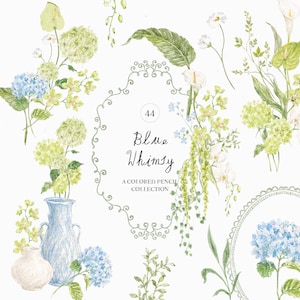 May include: A collection of coloured pencil illustrations featuring blue hydrangeas, green foliage, and white calla lilies. The centre includes a decorative oval frame with the text 44 Blue Whimsy A COLOURED PENCIL COLLECTION, alongside a blue vase.