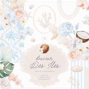 Aquarell Küstenblumen Clipart-Sammlung - Island Clipart