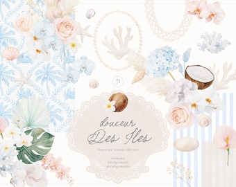 Colección de imágenes prediseñadas florales costeras en acuarela - Imágenes prediseñadas de isla