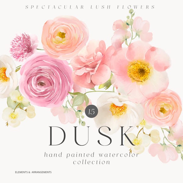 Watercolor Blush and Pink Floral Clipart Collection - Hand Painted - No AI