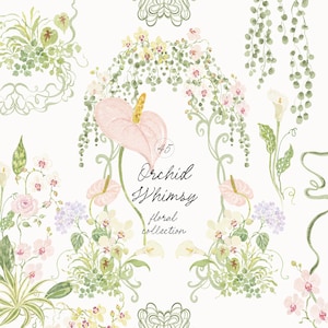 Puede incluir: Una ilustración digital que presenta una colección de flores en acuarela, incluyendo anturios rosas, orquídeas blancas, calas y enredaderas verdes colgantes. El texto central dice 45 Orchid Whimsy floral collection en una fuente cursiva.