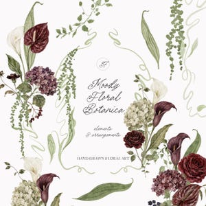 Può includere: Una collezione di illustrazioni floreali disegnate a mano con calle bordeaux, rose rosso scuro e ortensie viola con fogliame verde. Il testo centrale recita Moody Floral Botanica, elements & arrangements, HAND DRAWN FLORAL ART.