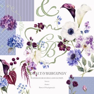 Può includere: Una collezione floreale ad acquerello digitale con fiori viola, blu e bianchi, viticci verdi e lettere calligrafiche. Il testo recita COBALT & BURGUNDY WATERCOLOR FLORAL COLLECTION, letters, frames, flowers & backgrounds e il numero 80.