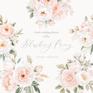 Blush Pfingstrose Clipart - Hochzeitsblumen - Hochzeit Clipart - Blush Blumen - Pfingstrosen - Blumenarrangements - Blush - unbegrenzte Verkaufslizenz