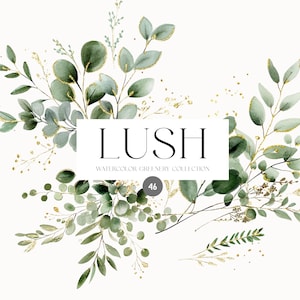 Aquarell Eukalyptus Clipart - Greenery handgemalte Clipart-Sammlung - handgemaltes Eukalyptus Aquarell Hochzeit Clipart