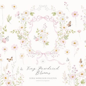 Puede incluir: Colección floral en acuarela con margaritas, mariposas y vegetación. El diseño incluye una corona floral con lazos rosas, flores individuales y arreglos. El texto dice "Tiny Powdered Blooms" y "Floral Watercolor Collection".