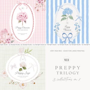 Lot de chinoiseries BCBG aquarelle - 3 en 1 - Neutre - Bleu - Rose - Vichy - Fleurs preppy - Chinoiseries BCBG - Vieux rose - Bleu