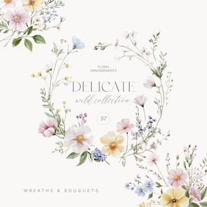 Clipart de delicadas flores silvestres en acuarela: flores de pradera en paleta neutra, flores de campo, colección de flores silvestres