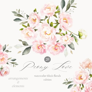 Blush Pfingstrose Clipart - Aquarell Blumen - Pfingstrosen - Pfingstrosen Blumensträuße - Florale Elemente - Arrangements - Pink - unlimitierte Verkaufslizenz