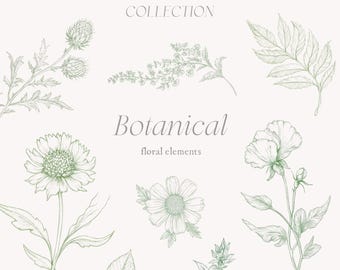May include: A collection of botanical line art illustrations in green. The illustrations include a fern, a daisy, a thistle, a flower with multiple petals, and a leaf.