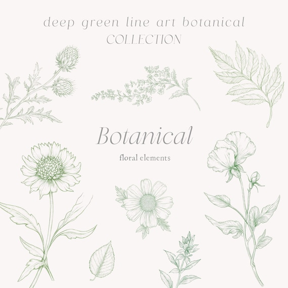 Green Line Art Botanical Collection - Greenery - Greenery Clipart - Line Art - Vintage Florals - Green Line Art - Unlimited Sales License