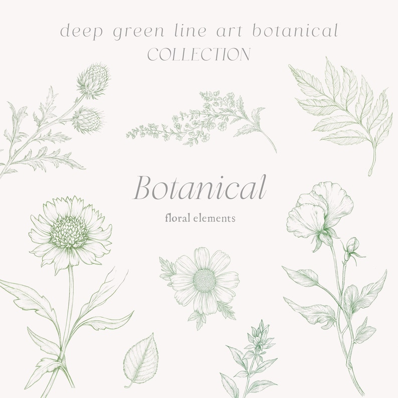 May include: A collection of botanical line art illustrations in green. The illustrations include a fern, a daisy, a thistle, a flower with multiple petals, and a leaf.