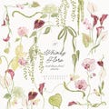 Watercolor Burgundy Olive Whimsy Wild Flower Collection - Watercolor Whimsical - Floral Arrangements - Frames 0826 product logo