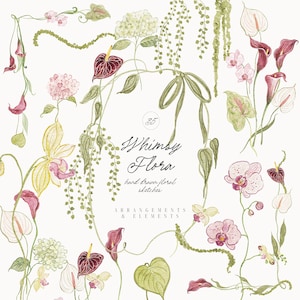 May include: A collection of hand-drawn floral sketches featuring various orchids, calla lilies, hydrangeas, and trailing vines in shades of pink, burgundy, yellow, and green. The central text reads 35 Whimsy Flora hand drawn floral sketches ARRANGEMENTS & ELEMENTS.