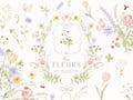 Watercolor Pastel Wild Flowers Clipart Collection with Ladybugs and Butterflies product logo