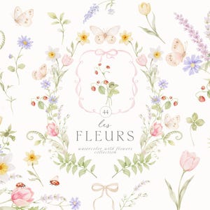 Clipartcollectie aquarel pastel wilde bloemen met lieveheersbeestjes en vlinders