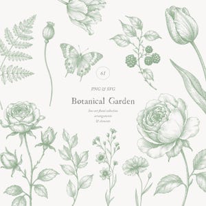 Peut inclure: Illustration de divers éléments botaniques en vert tendre. La composition comprend des roses, des tulipes, un papillon et d'autres arrangements floraux. Le texte indique "Botanical Garden" et "PNG & SVG".