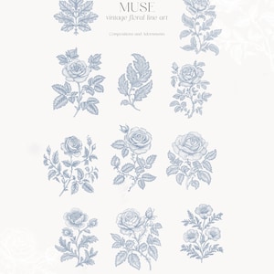 Op de afbeelding: Een set van negen vintage bloem-lijnkunst illustraties in blauw op een witte achtergrond. De illustraties bevatten rozen, bladeren en andere bloemmotieven. De tekst "MUSE vintage floral line art" en "Compositions and Adornments" is opgenomen in de afbeelding.