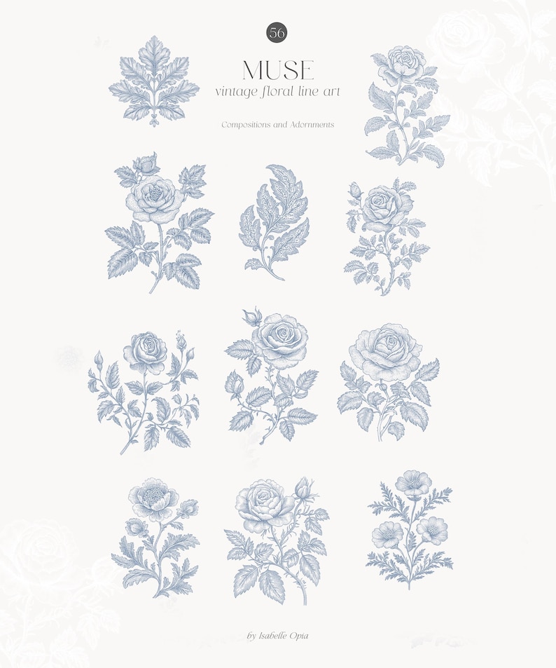 Op de afbeelding: Een set van negen vintage bloem-lijnkunst illustraties in blauw op een witte achtergrond. De illustraties bevatten rozen, bladeren en andere bloemmotieven. De tekst "MUSE vintage floral line art" en "Compositions and Adornments" is opgenomen in de afbeelding.