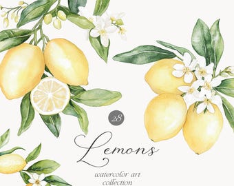 May include: Watercolor illustration of lemons, leaves, and white flowers. The image features several yellow lemons, some sliced, with green leaves and delicate white blossoms. Text reads "Lemons watercolor art collection."