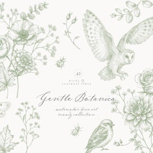 Vintage Line Art Botanisk Clipart-samling - Stämningsfull säsongsnatur