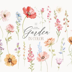 May include: A collection of 37 watercolor floral illustrations featuring various garden flowers in shades of red, pink, orange, yellow, blue, and purple, with the text 37 FLORAL COLLECTION Garden IN COLOR centered among the botanical elements.