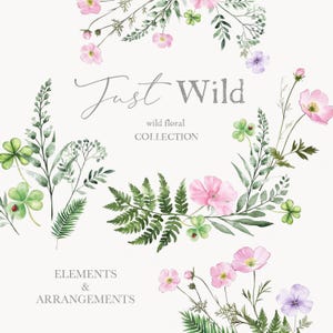 Aquarell Wildblumen - Wildblumenarrangements - Florale Elemente - Bunte Wildblumen - Hochzeit Clipart - unbegrenzte Verkaufslizenz