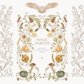 Hand Drawn Baroque Inspired Harvest Autumn Frames - Hand Drawn Clipart - No AI - Fall Baroque Vintage Frames Clipart product logo