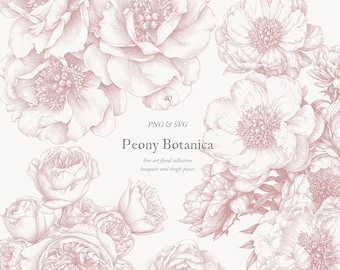 May include: A collection of peony botanical illustrations in a soft pink hue. The image features detailed line art of various peony blooms, with the text "Peony Botanica" and "PNG & SVG" included. The overall design is delicate and floral.