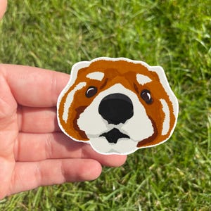 Stickers wasbeer en rode panda | dierenstickers
