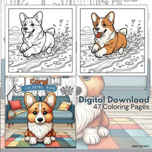 Corgi Coloring Pages 47 Pages