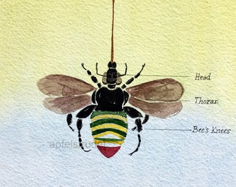 ORIGINAL WATERCOLOUR. The Bee's Knees / Anatomy of a Bee / Euglossa Dimidiata / Bumblebee / Puncyclopaedia Canadiana / Pun