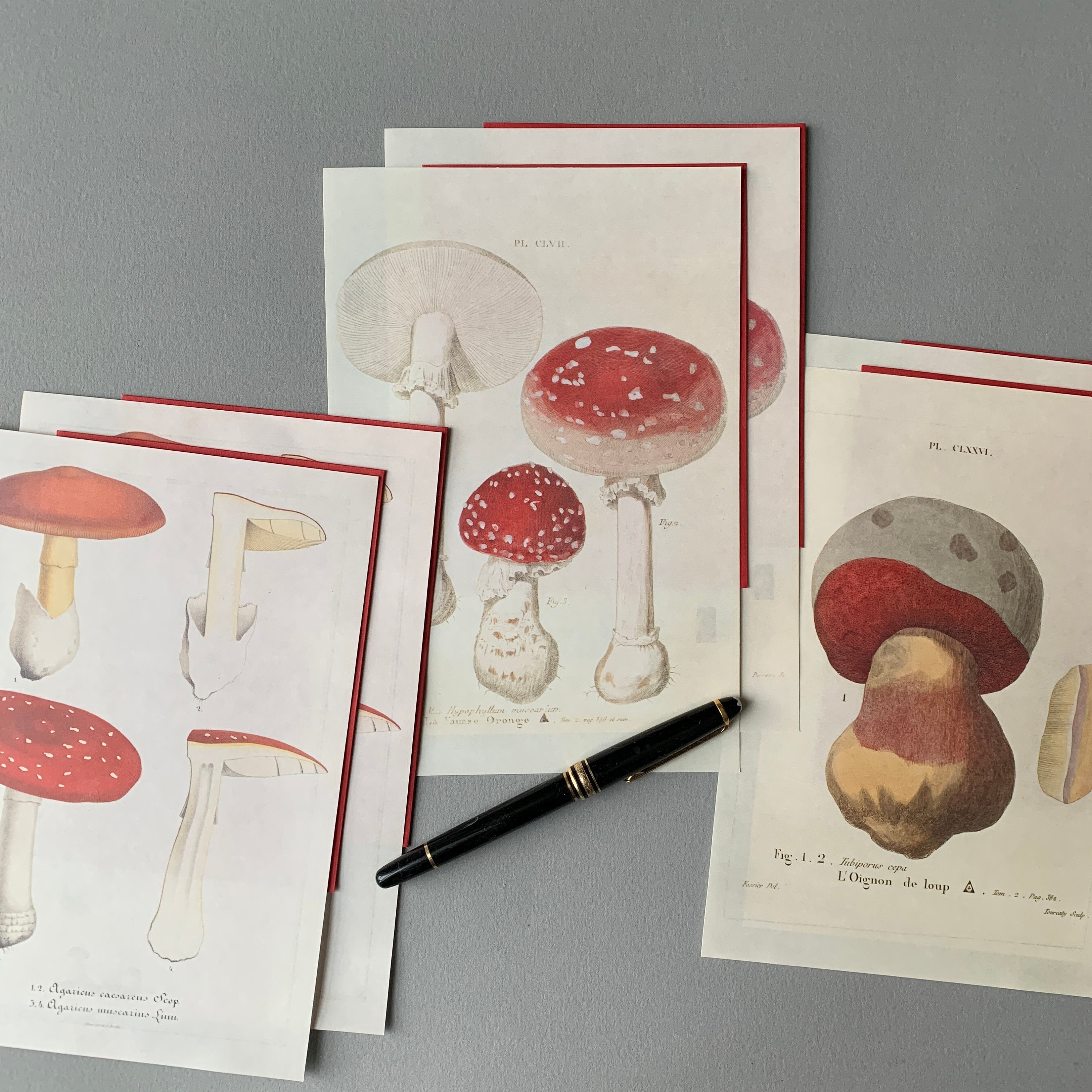Red Mushroom Writing Paper Envelopes and Seal Set Japanese Stationery