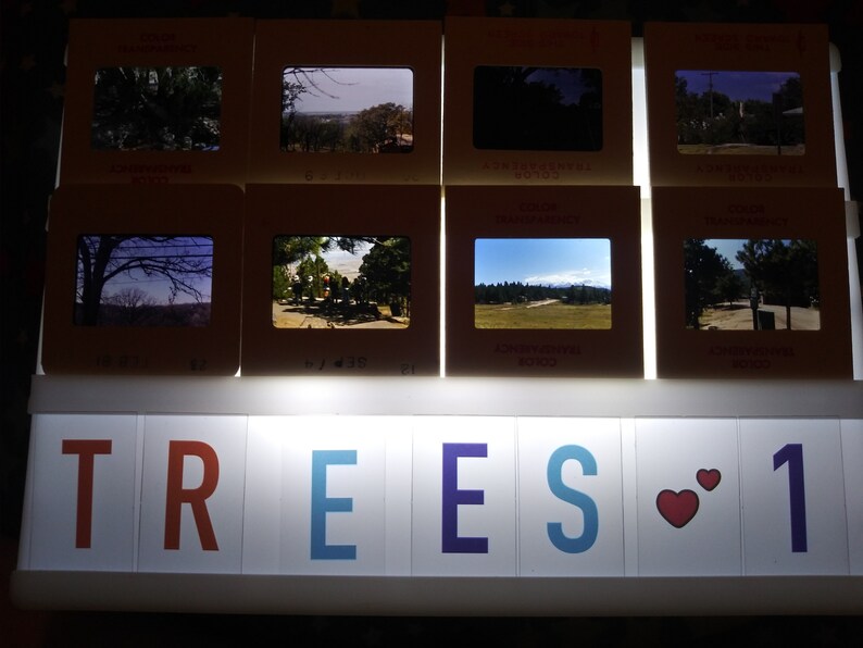 pictures of trees lot of 40 set 1 dated 1970-1980 Vintage 35mm and 110 format slides