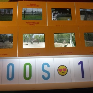 Vintage 35mm slides - pictures from zoos (set #1) - lot of 14 - 1970s?