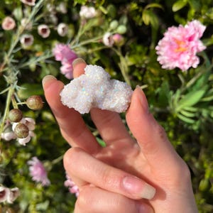 Può includere: Un ammasso di cristalli bianchi iridescenti con una superficie ruvida e testurizzata. Il cristallo è tenuto in una mano su uno sfondo di fogliame verde e fiori rosa.
