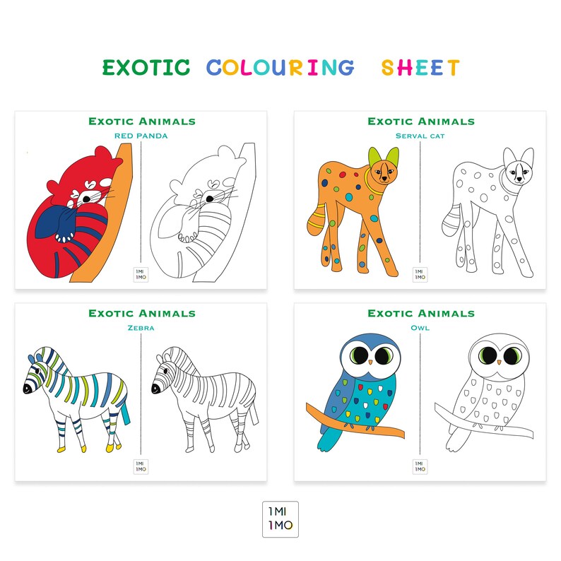 Exotic Coloring Pages Coloring Sheets Printables for Kids Summertime
