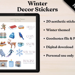 Winter Stickers, Goodnotes Digital Stickers, Aesthetic Digital Stickers, Digital Planner Stickers, Digital Functional Stickers