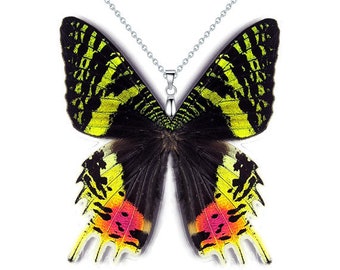 Real Butterfly Wing Necklace/ pendant (Urania Ripheus Sunset Moth - W002)- USD5 off Coupon Code: US5OFF (Min.Spend USD40) - Buy 2 Get 1 Free