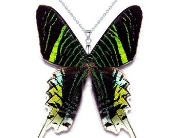 Real Butterfly Wing Necklace / Pendant (WHOLE Urania Leilus - W039) - USD5 off Coupon Code: US5OFF (Min.Spend USD40) - Buy 2 Get 1 Free