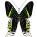 see more listings in the Whole Butterfly Necklace section